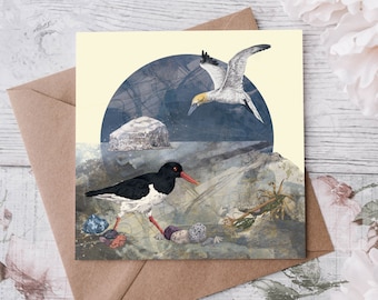 Sea & Shore Greeting Card - Gannet and Oystercatcher - Scottish Seabird - Bass Rock - blank card