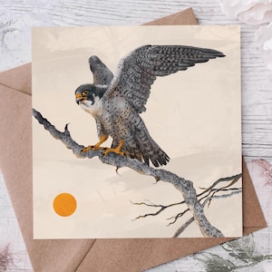 May include: A square greeting card with an illustration of a falcon perched on a branch. The bird has grey and white feathers, yellow feet, and a yellow beak. A small orange sun is in the background. The card is in a brown envelope.