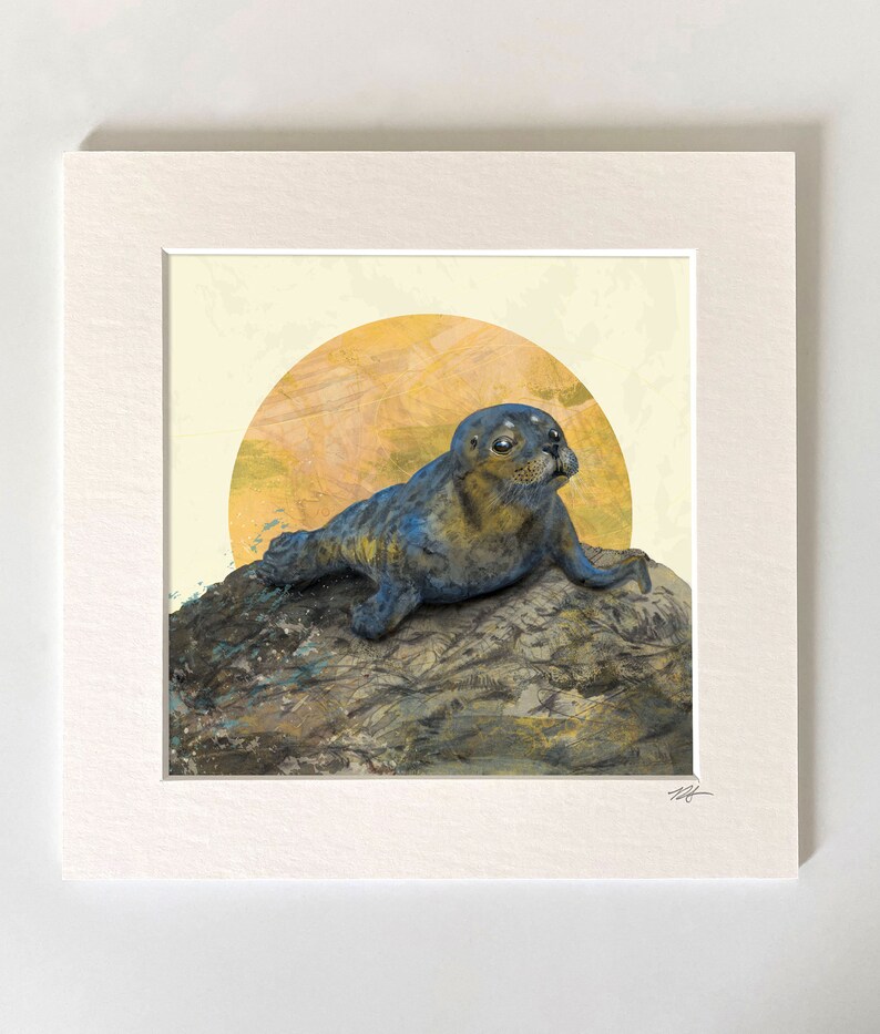 Seal Mounted Giclée Print 20x20 cm Ochre moon folklore magical peaceful Common Seal Pup Scottish image 2