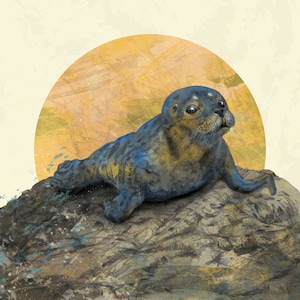 Seal Mounted Giclée Print 20x20 cm Ochre moon folklore magical peaceful Common Seal Pup Scottish image 1