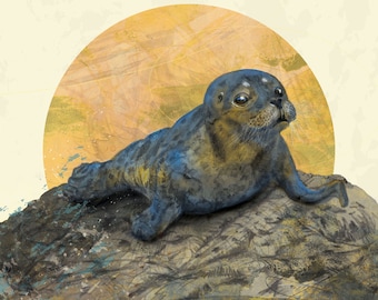 Seal Mounted Giclée Print 20x20 cm - Ochre moon - folklore - magical - peaceful - Common Seal Pup - Scottish