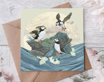 Three Puffins Greeting Card - Cute Puffins on Rock - Scottish Seabird - blank card