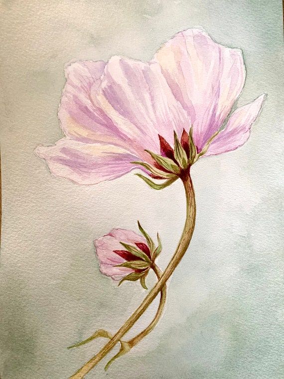 Original Watercolor Cosmos Flower Painting Dreamy Wall Art Floral Aquarelle Art