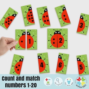 Puzzle di attività di conteggio stampabile, conteggio e abbinamento di coccinelle, programma di homeschooling per la scuola materna, attività di abbinamento di motricità fine Montessori