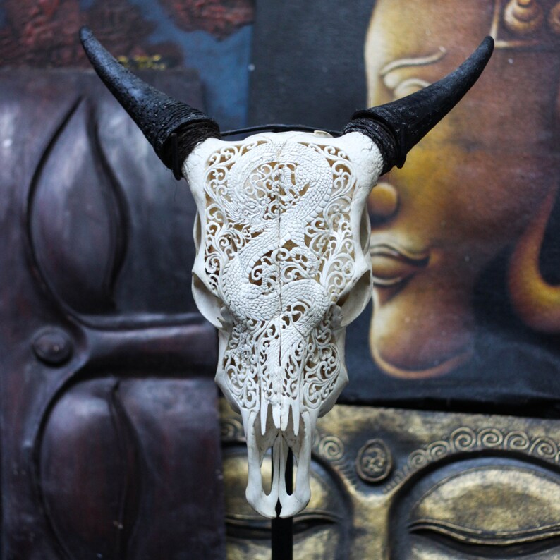 SALE Beautiful Dragon Hand Carved Steer/ Cow Skull with Etsy