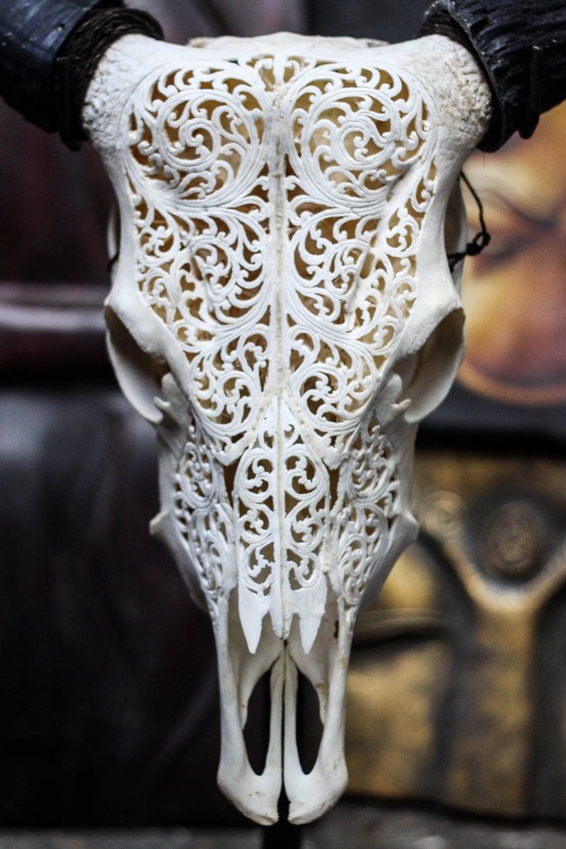Beautiful Vines Hand Carved Steer/ Cow Skull with Horns ...