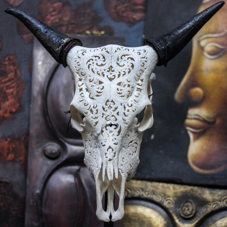 Sale Beautiful Heart Hand Carved Steer Cow Skull With Etsy