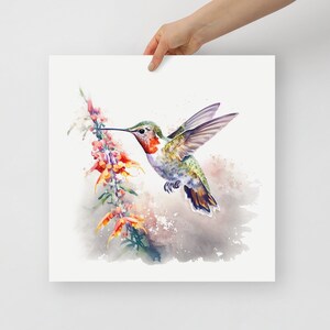 May include: A watercolor painting of a hummingbird in flight, with a long, thin beak, green and brown feathers, and a red throat. The hummingbird is hovering near a cluster of pink and orange flowers.