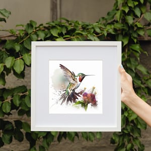 Op de afbeelding: Een aquarel schilderij van een kolibrie in de vlucht, met een rode keel en groene en witte veren. De kolibrie zweeft in de buurt van een groep roze bloemen met groene bladeren. Het schilderij heeft een witte achtergrond met aquarel spatten.