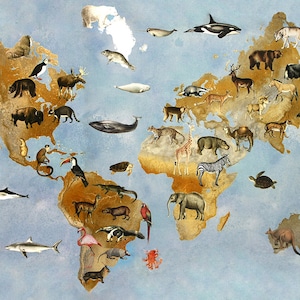 Fabric Map, cotton