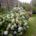 Owner of <a href='https://www.etsy.com/shop/VieDeBrocante?ref=l2-about-shopname&from_page=listing' class='wt-text-link'>VieDeBrocante</a>