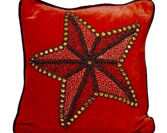 Rood geborduurd sterkussen, sierkussen fluweelkatoen