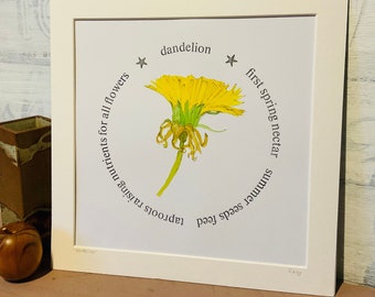 Dandelion wall art, dandelion painting, weeds, letterpress print, dandelion poem