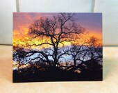 Beautiful Fall Sky Sunrise Photography, Set of 2 Photo Notecards, Ready to Ship