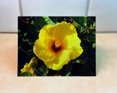 Beautiful Yellow Hibiscus, Set of 2 Photo Notecards Ready to Ship