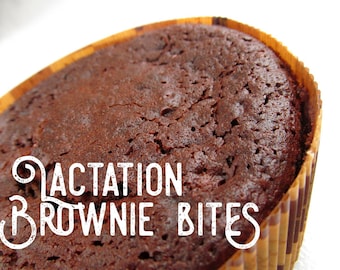 Lactation Brownie Bites (40)