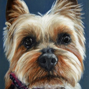 Yorkshire, Terrier, yorkie, dog portrait, custom dog Painting,pet painting, pet portrait, Dog painting from a photo, personalized art, 8x10&quot;