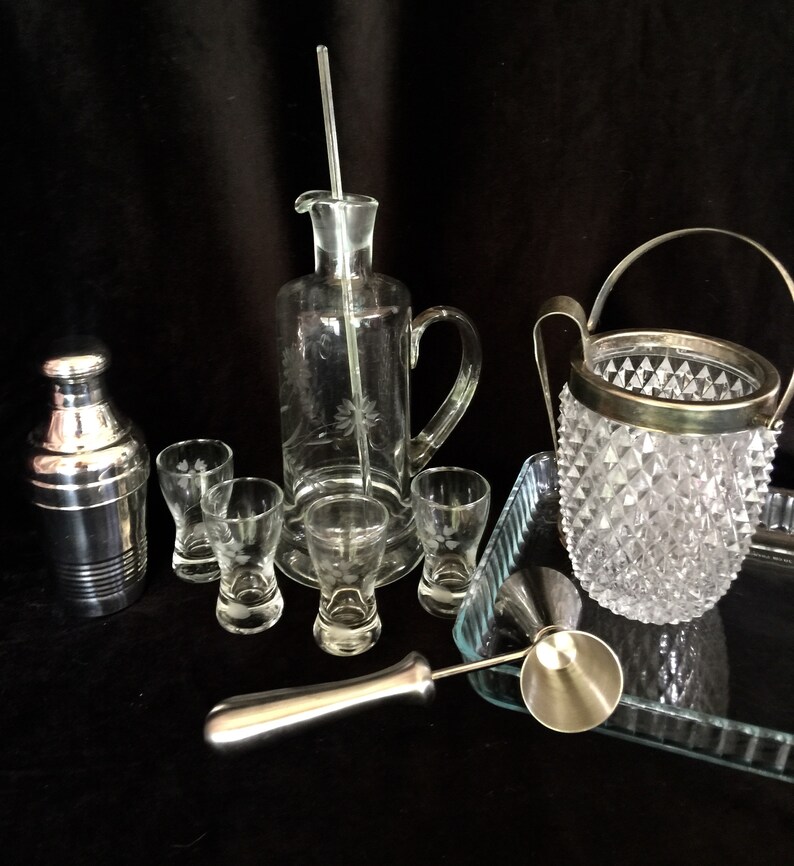 Vintage Cocktail Set Mini Shaker Pitcher Shot Glasses Etsy