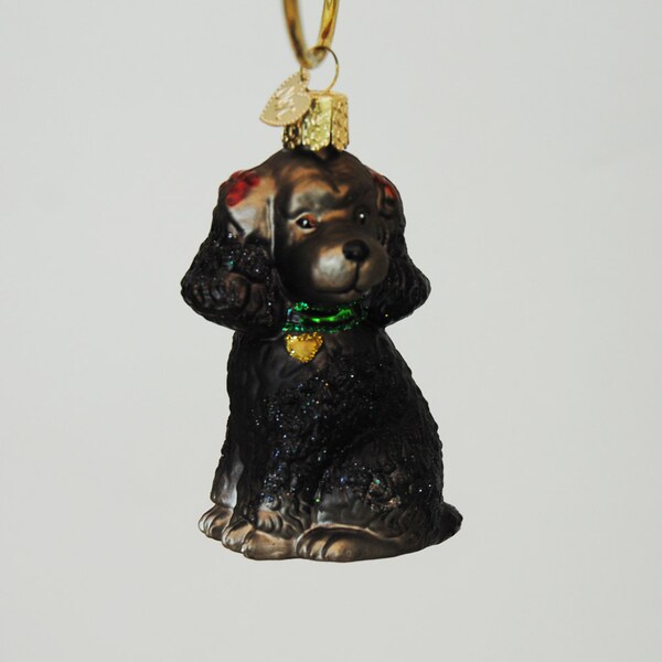 Black Poodle