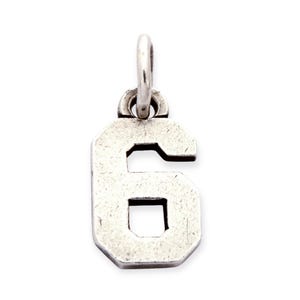 May include: A silver-colored number 6 charm with a loop at the top for attaching to a necklace or bracelet. The charm has a slightly distressed finish, giving it a vintage look. The number is in a bold, blocky font.