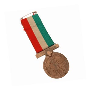 Caesar Medal Bronze Denarius Coin Medal Elephant, Vintage Julius Caesar Coin Copy Ancient Rome, Roman Medal, Collage Supply Assemblage