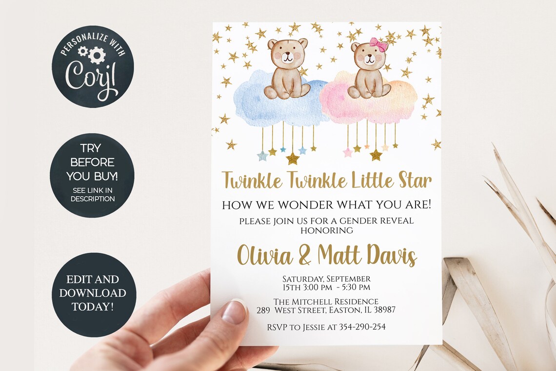 Bear Gender Reveal Invitation Teddy Bear Bear Boy or Girl Etsy