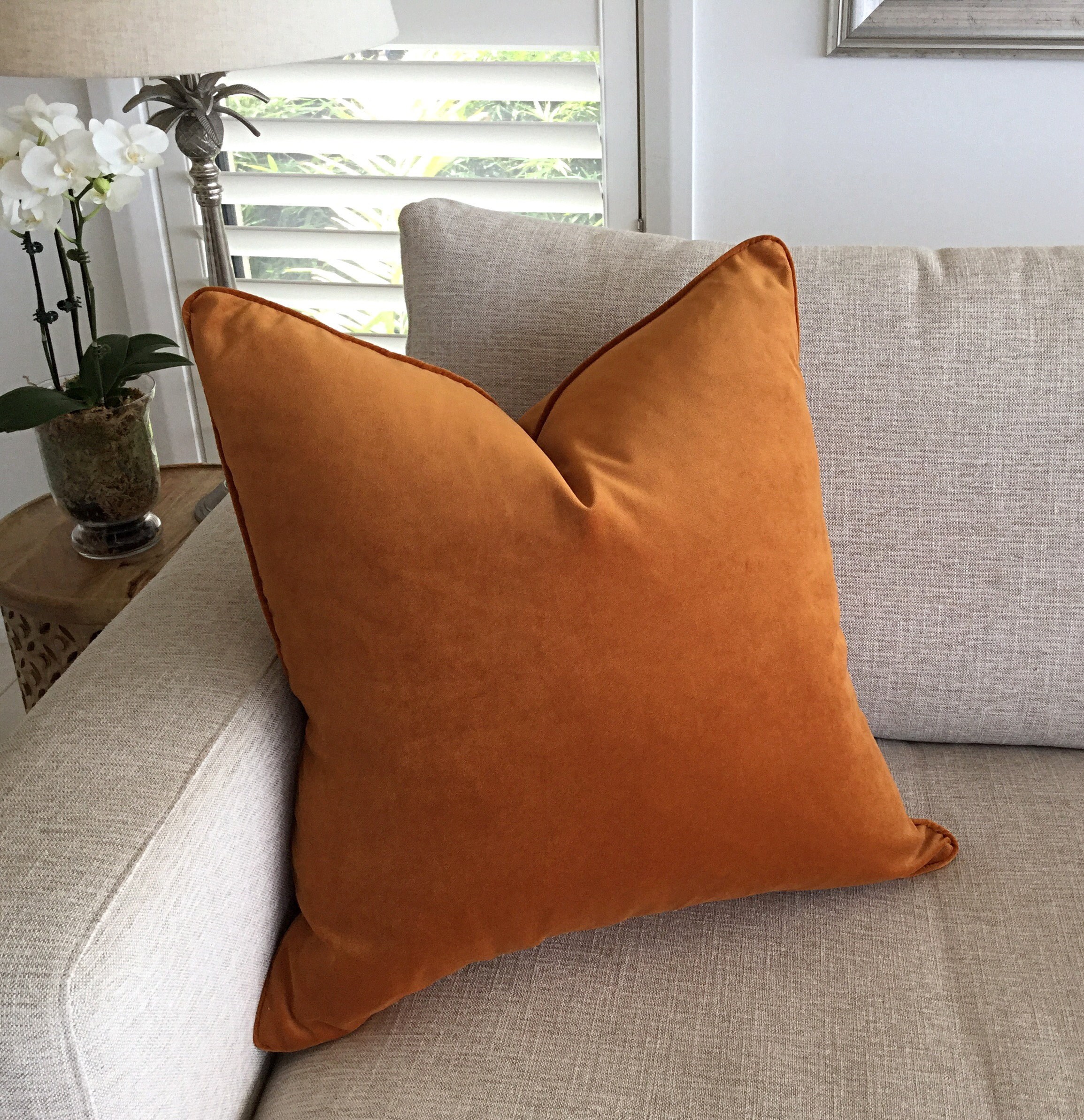 cushion between discs