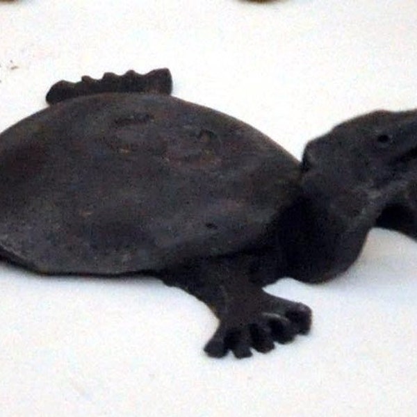 Under One Hundred - Critically Endangered Species: Yangtze Giant Softshell Turtle
