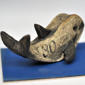 Under One Hundred - Critically Endangered Species: Vaquita