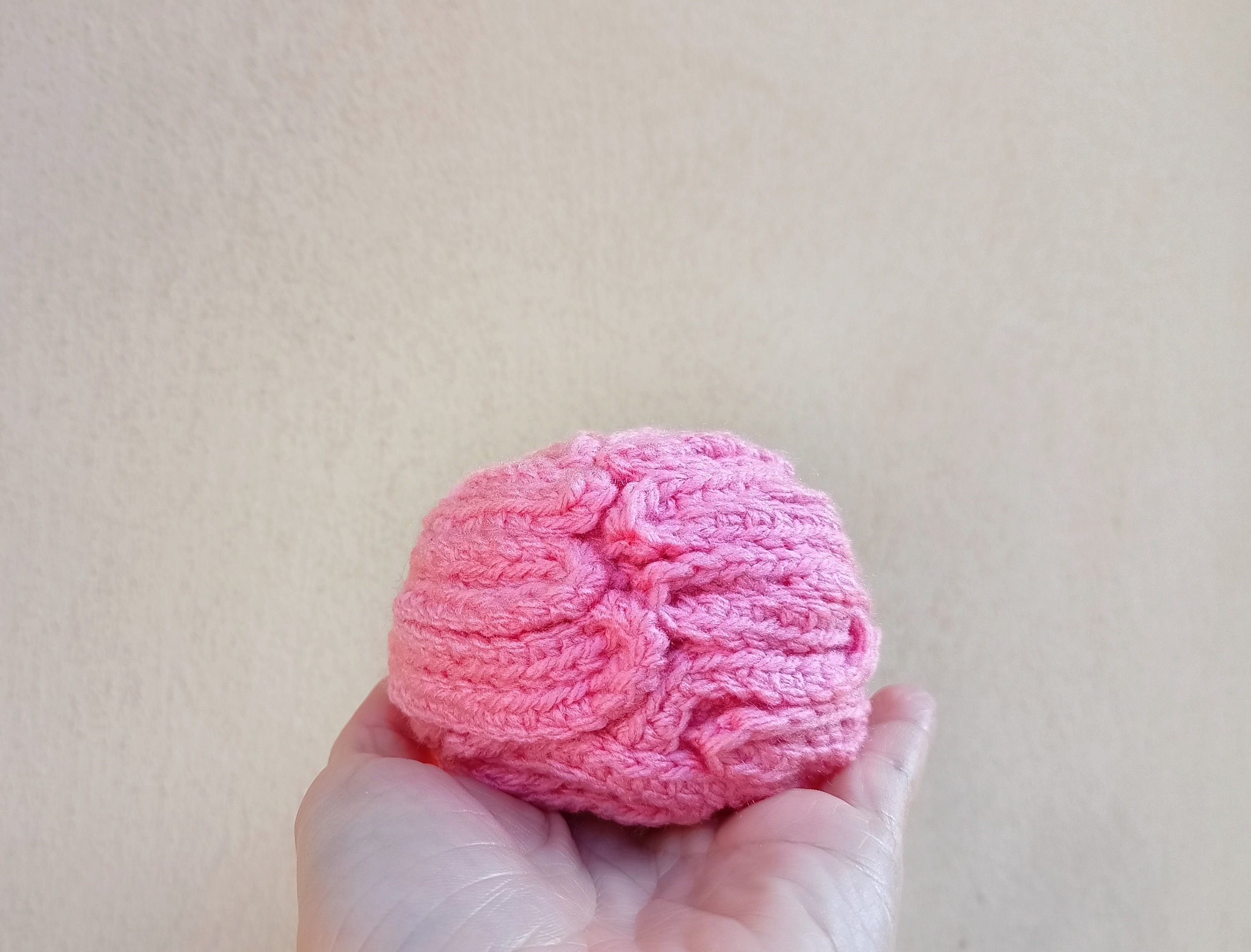 Crochet Brain Plush: Handmade Anatomical Amigurumi, Medical Gift - Etsy