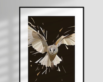 Ghost - Barn Owl, Limited Edition, Giclée Art Print