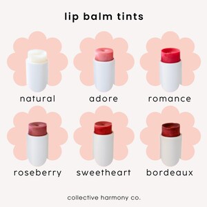 strawberry sorbet | natural tinted lip balm | self care gifts | gifts for her image 2