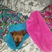 see more listings in the Pet Snuggle Sacks section