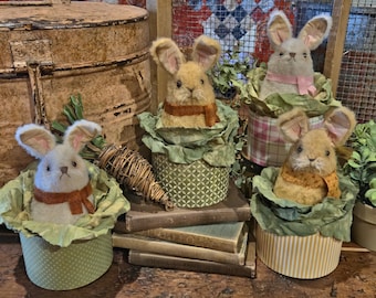 Benji, our fuzzy Easter  bunny rabbit sitting in cabbage leaves inside a paper mache box