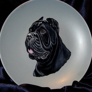 Cane Corso Italiano portrait