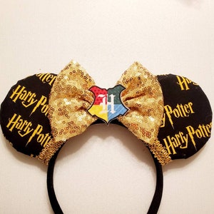 Wizard Mouse Ears