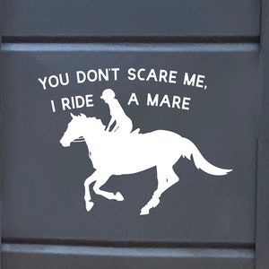 Sarcastic Horse Sticker - Equestrian Humor Decal for Trucks, Mare Decal, Horse Lover Gift, Horse Sticker