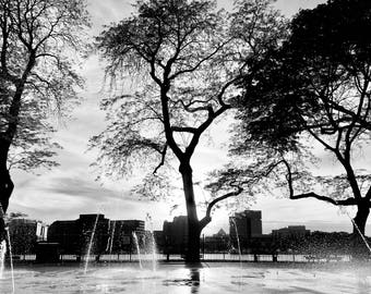 Fountain on the Charles River, Boston Photography, Black and White Photography, Boston, Massachusetts, Charles Lyons Photography