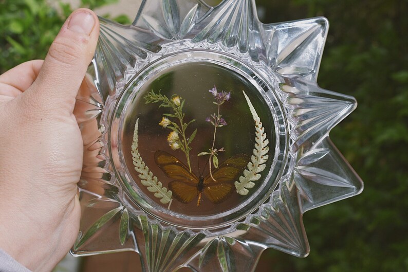 Glass and Resin Dish \u2022 dried butterfly \u2022 pressed flowers /& ferns \u2022 jewelry dish \u2022 knick knacks and trinkets