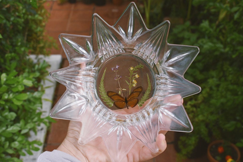 Glass and Resin Dish \u2022 dried butterfly \u2022 pressed flowers /& ferns \u2022 jewelry dish \u2022 knick knacks and trinkets