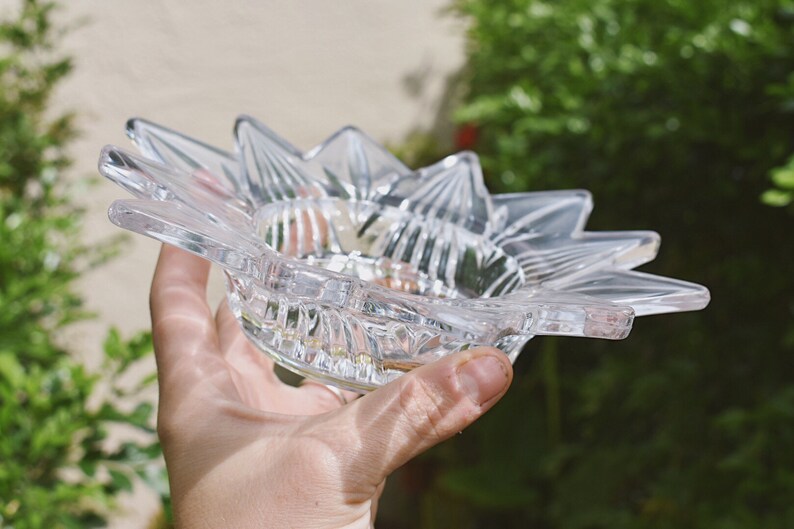 Glass and Resin Dish \u2022 dried butterfly \u2022 pressed flowers /& ferns \u2022 jewelry dish \u2022 knick knacks and trinkets