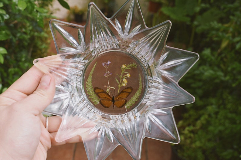 Glass and Resin Dish \u2022 dried butterfly \u2022 pressed flowers /& ferns \u2022 jewelry dish \u2022 knick knacks and trinkets