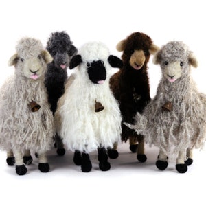 Bell Sheep