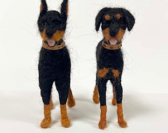 Doberman Pinscher Dog