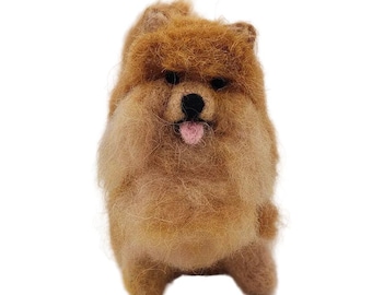Pomeranian