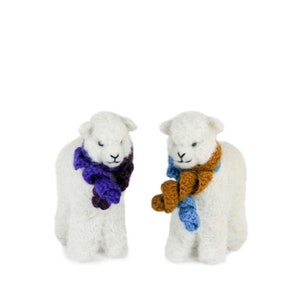 Boucle Lamb
