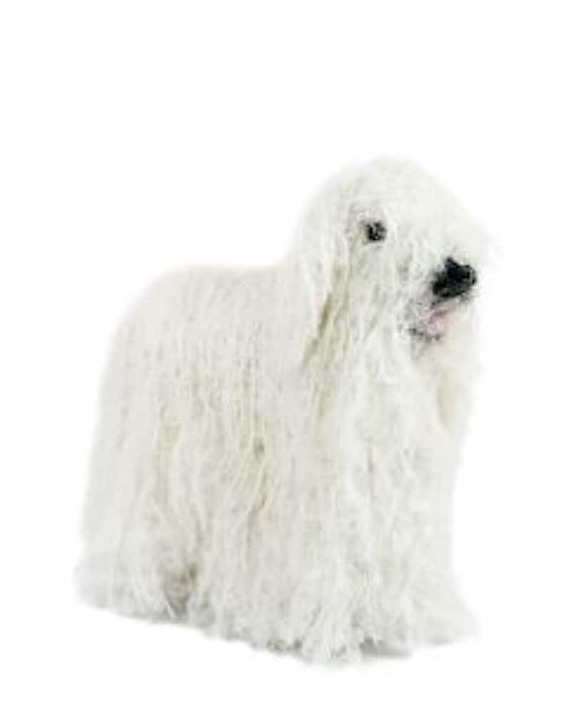 May include: A white Komondor dog with long, corded fur. The dog is standing on a white background and looking to the right.