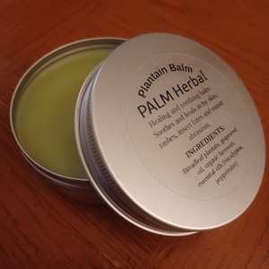 Herbal Plantain Balm by PALM Herbal