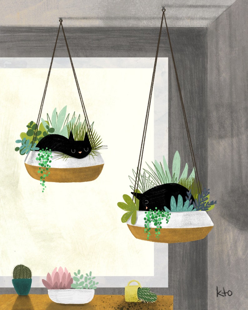 11 Plantas De Interior No Txicas Para Las Mascotas