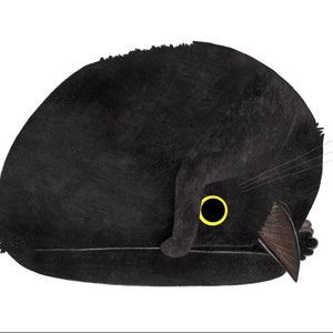 May include: A black cat curled up in a ball, sleeping with one eye open. The cat's eye is yellow with a black pupil.